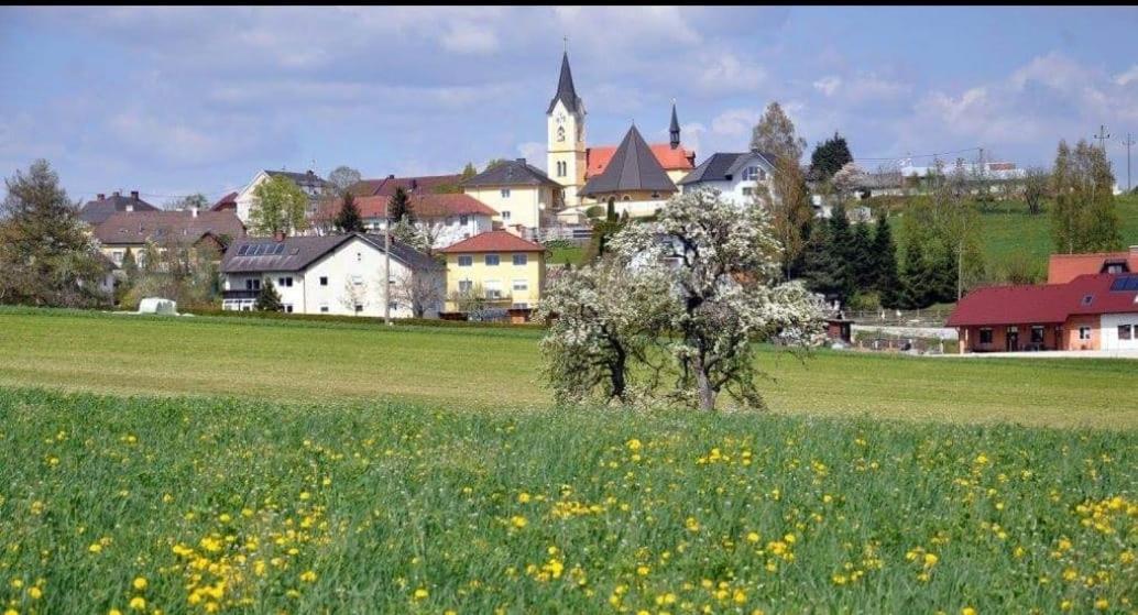 Herzogsdorf Wohnhaus City Sued מראה חיצוני תמונה